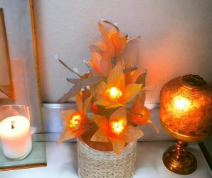 LILY ORANGE LILY ORANGE