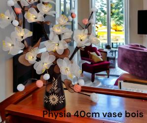 PHYSIA BLANC